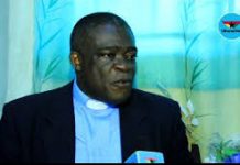 Our democracy must avoid becoming dictatorship of the Majority – Opuni-Frimpong
