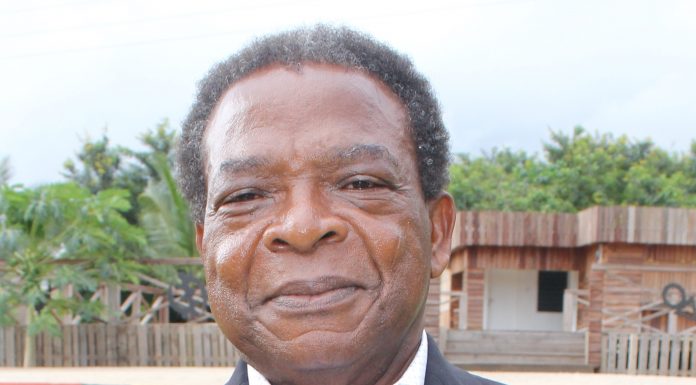 Political violence will stop if perpetrators are punished – Nana Ato Dadzie
