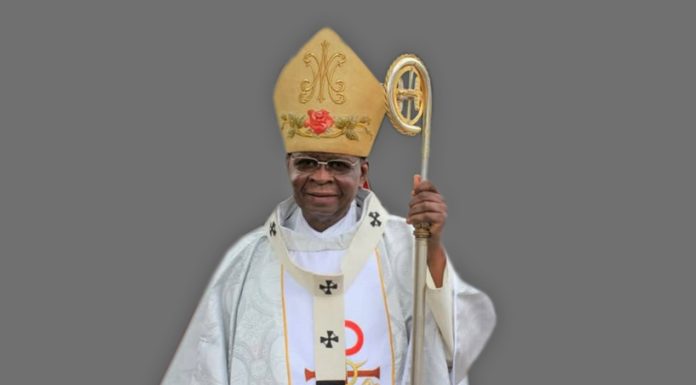 Politicians Must Focus On Common Good— Most Rev. Naameh